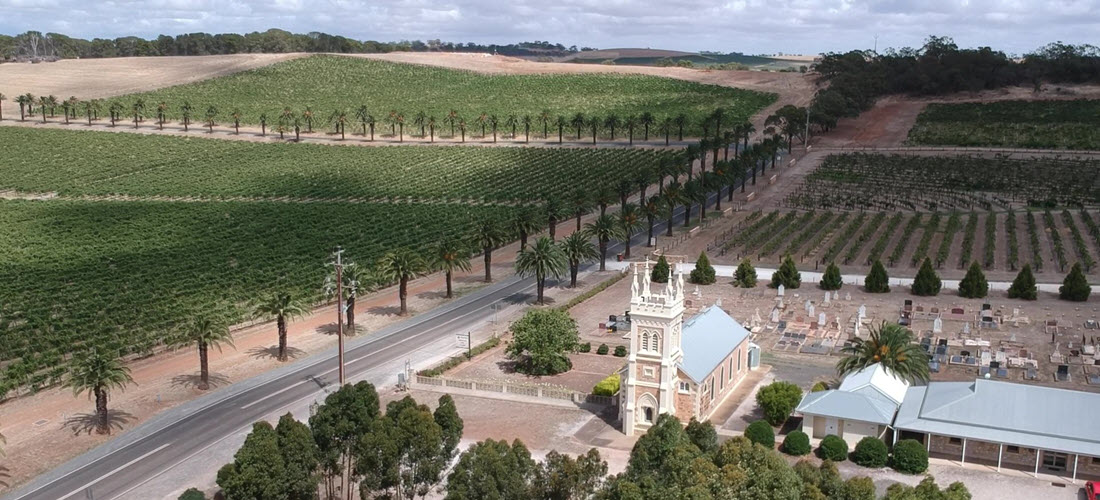 Paulmara church vineyard